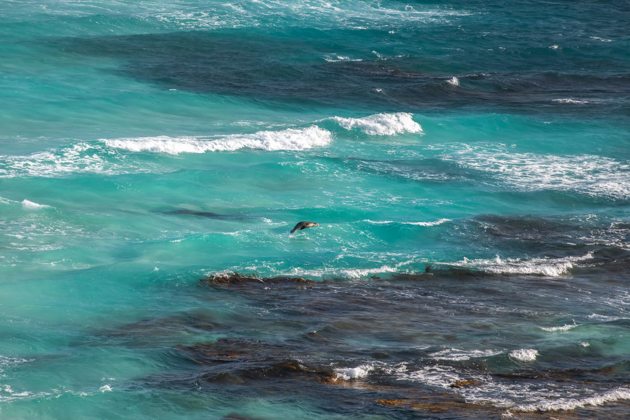 coffin bay, south australia (4).webp